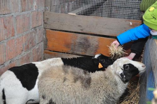 Image00005 (1) (1) (1) (1)