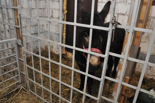 Image00006 (1) (1) (1)