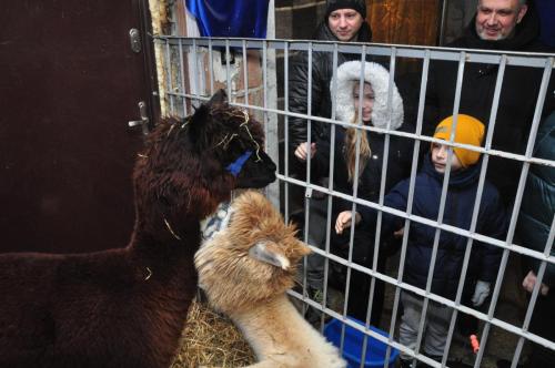 Image00007 (1) (1) (1) (1)