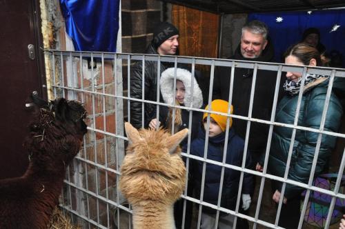 Image00008 (1) (1) (1) (1)