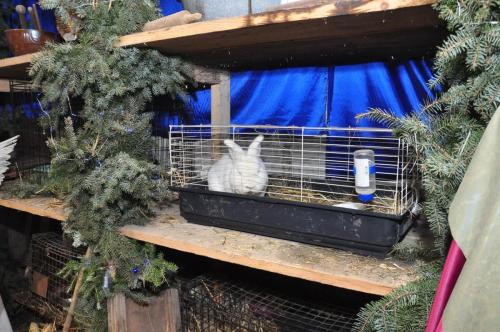 Image00011 (1) (1) (1) (1)