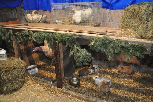 Image00013 (1) (1) (1) (1)