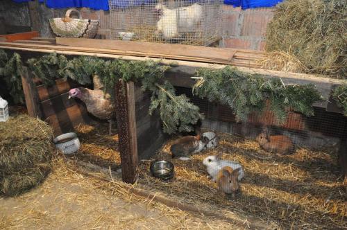 Image00014 (1) (1) (1)