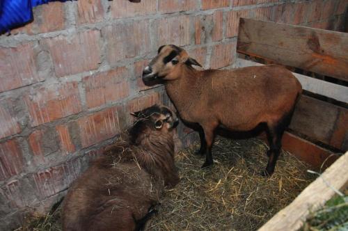 Image00019 (1) (1) (1)