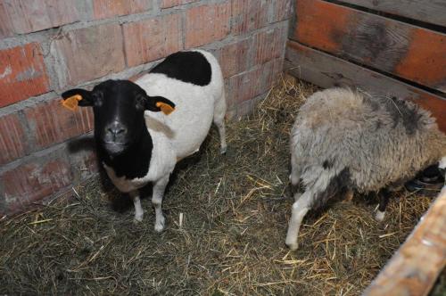 Image00020 (1) (1) (1) (1)