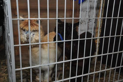 Image00021 (1) (1) (1) (1)