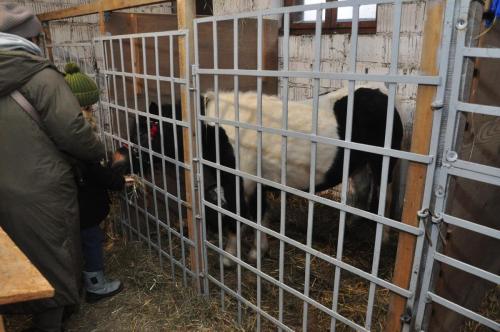 Image00022 (1) (1) (1)