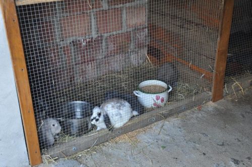 Image00144
