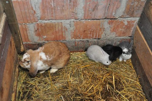 Image00147
