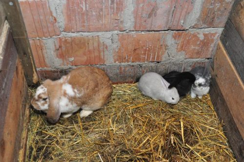 Image00148