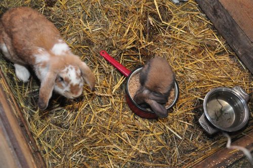 Image00149