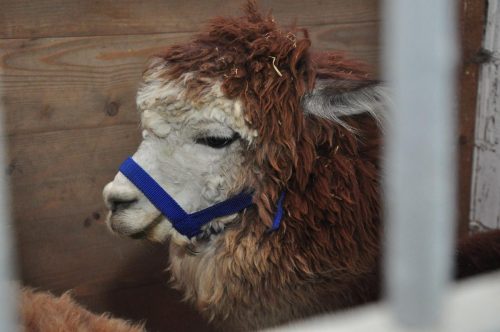 Image00151